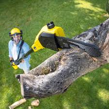 Best Aeration Services  in Mayflower Village, CA